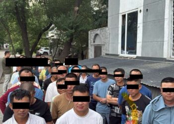 Кыргызстанга туристтик виза менен келип, курулушта иштеп жүргөн 39 кытайлык аныкталды
