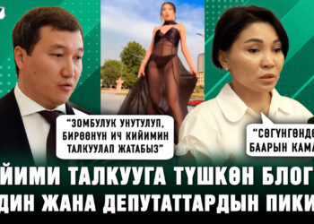 Кийими талкууга түшкөн блогер. Эл жана депутаттар эмне дейт?