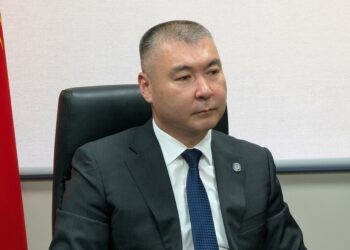 Президенттин иш башкаруучусу «Нарын такыр каралбай калды» дегендерге жооп берди