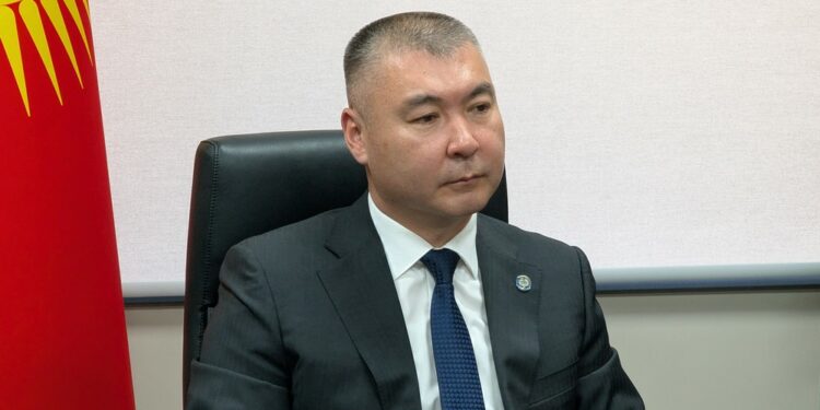 Президенттин иш башкаруучусу «Нарын такыр каралбай калды» дегендерге жооп берди