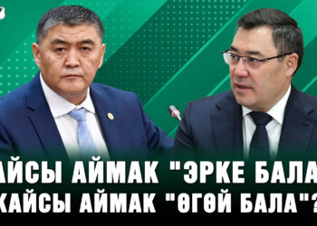 Жалал-Абад, Ысык-Көл, Нарын… Өнүккөн жана каралбай калган делген аймактар боюнча пикир