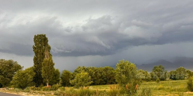 29-июлга карата өлкөдө күтүлгөн аба ырайы