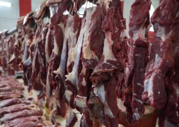 Өлкөдө эттин баасына көзөмөл киргизилет