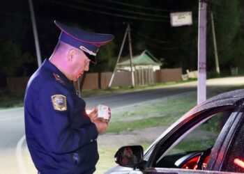 Ысык-Көлдө бир түндө 14 мас айдоочу кармалды