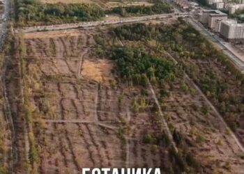 Ботаникалык бак боюнча жетекчиси үн катты