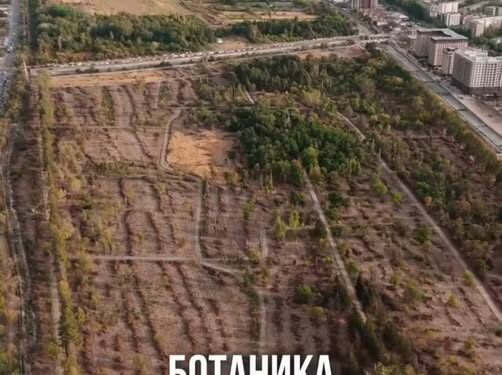 Ботаникалык бак боюнча жетекчиси үн катты