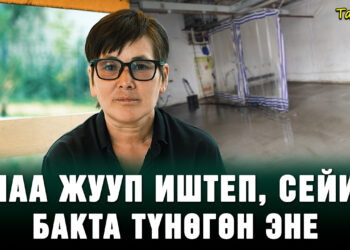 Унаа жууп иштеп, сейил бакта түнөгөн үйсүз эне