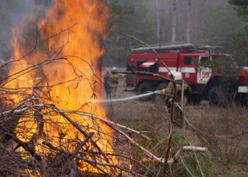 Таласта кургак чөптөн чыккан өрттөн министр «айгай» жарыялады