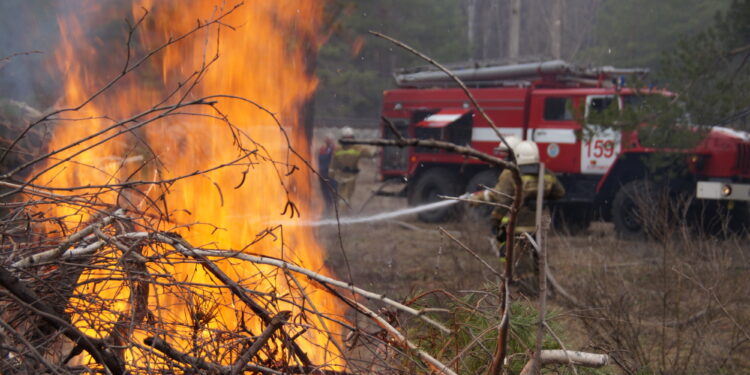 Таласта кургак чөптөн чыккан өрттөн министр «айгай» жарыялады