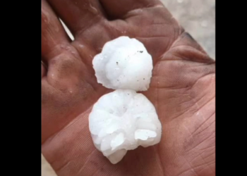 Кербенде көлөмү бармактай мөндүр жаады (видео)