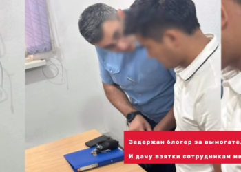 Бишкекте блогер кармалды (видео)