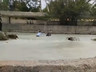 «Тийбегиле мага!». Милиция кызматкерлери аялды суудан алып чыгышты