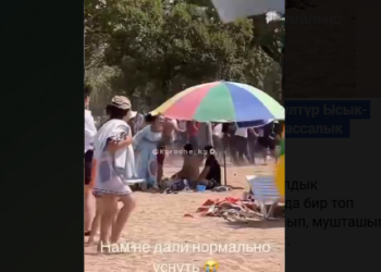 «Чолпон-Атадагы эс алуу жайында массалык мушташ чыкты» деген видео тарады