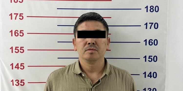 «Ташиевдин улуу баласымын» деген жаран кармалды