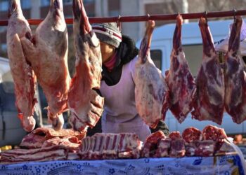 Бакыт Төрөбаев: «Этке болгон баа 700 сомдон төмөн болушу керек»