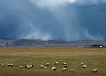 21-августка карата өлкөдө күтүлгөн аба ырайы