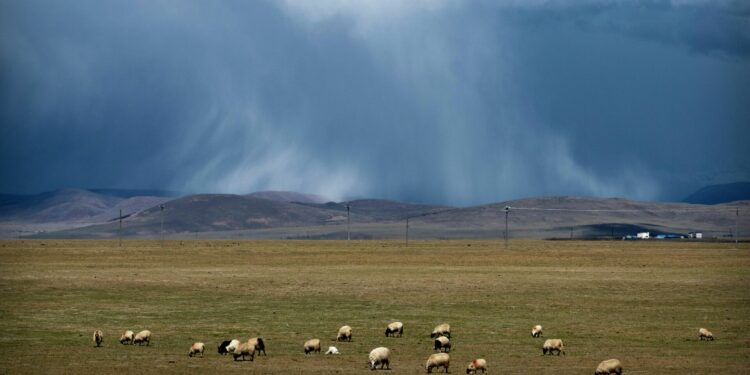 21-августка карата өлкөдө күтүлгөн аба ырайы