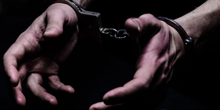 «Жансыз дене 10 күн жатканбы?» Бишкекте 22 жаштагы жигит энесин өлтүрүүгө шектелип жатат