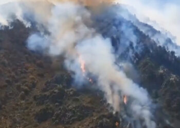 Чүй облусундагы тоо бетиндеги чыккан өрттү 177 адам өчүрүп жатат