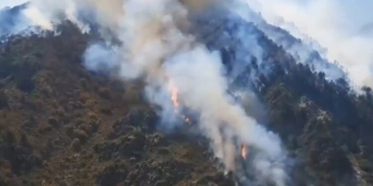 Чүй облусундагы тоо бетиндеги чыккан өрттү 177 адам өчүрүп жатат