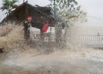 Вьетнамда суу ташкын үч адамдын өмүрүн алды