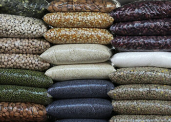 Таластын “Нирвана” сортундагы төө буурчагы 30дан ашуун өлкөгө экспорттолууда