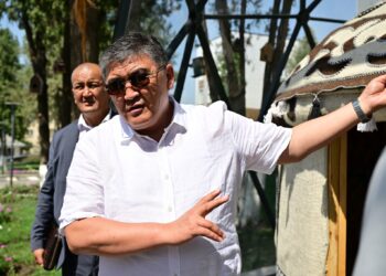 Ташиев: «Жетекчилер, үйлөрдү буздурууда ээси менен сүйлөшкүлө»
