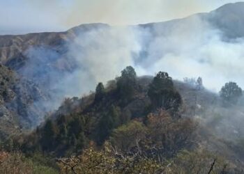 Орто-Арыктагы тоодон чыккан ири өрттү өчүрүү иштери бүгүн да улантылат
