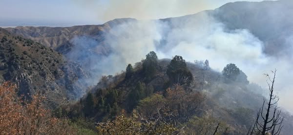 Орто-Арыктагы тоодон чыккан ири өрттү өчүрүү иштери бүгүн да улантылат