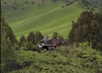 Квадроцикл менен бадалдарды тебелеп өткөн жарандар кечирим сурашты