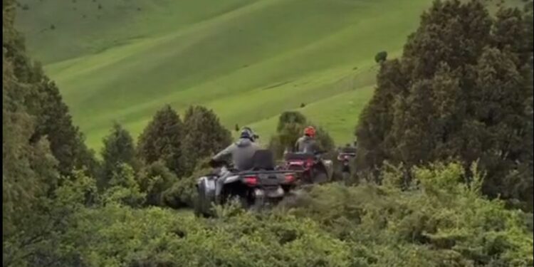 Квадроцикл менен бадалдарды тебелеп өткөн жарандар кечирим сурашты