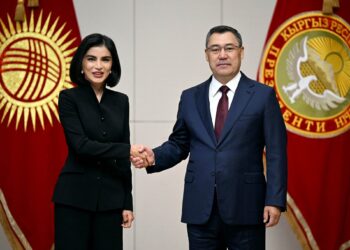 Садыр Жапаров Саида Мирзийоеваны кабыл алды