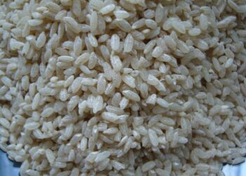 Айыл чарба министрлиги: Баткендин “Ак-Турпак” күрүчү Америкага чейин жетти