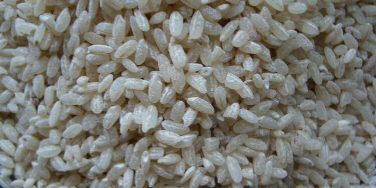 Айыл чарба министрлиги: Баткендин “Ак-Турпак” күрүчү Америкага чейин жетти