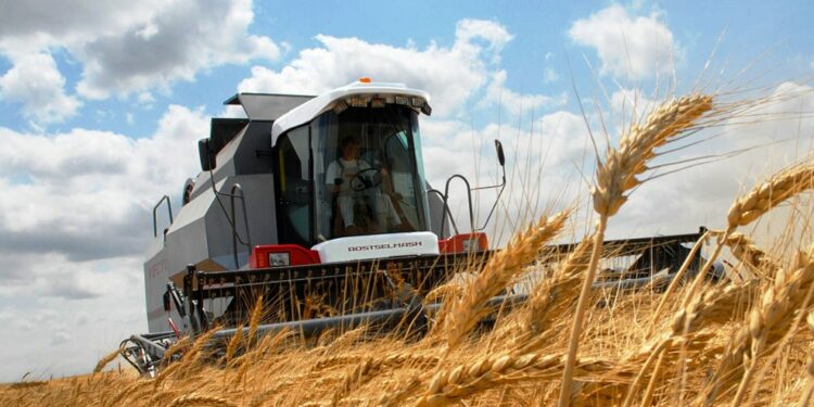Чаткалда дан эгиндерин оруп-жыйноо 20 күн эрте башталды