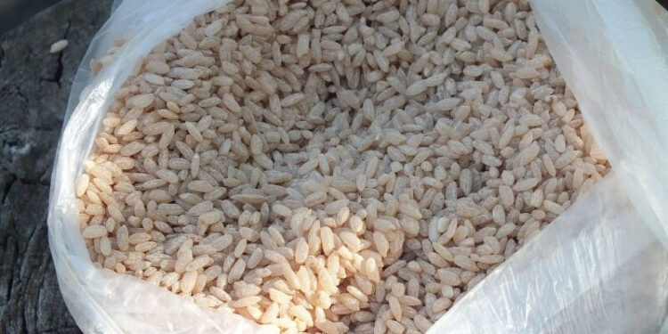 Ак-Турпак күрүчү таңгакталып, экспортко чыгарылат