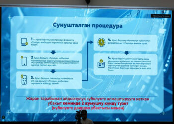 Айдоочулук күбөлүктөрдү алмаштыруу процедурасын жөнөкөйлөтүү тапшырылды