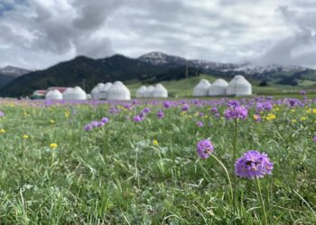 2-августка карата өлкөдө күтүлгөн аба ырайы