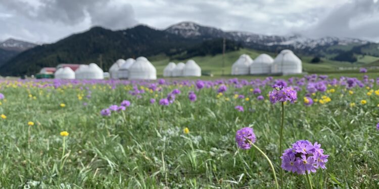 2-августка карата өлкөдө күтүлгөн аба ырайы