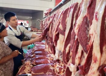 Бакыт Төрөбаев мал этине болгон баага дыкат көзөмөл жүргүзүүнү тапшырды