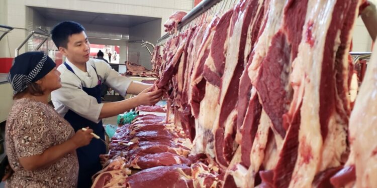 Бакыт Төрөбаев мал этине болгон баага дыкат көзөмөл жүргүзүүнү тапшырды