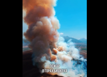 Орок айылында көрүстөндө ачык аянтта куураган чөптөн өрт чыкты