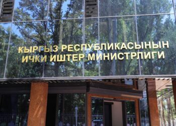 ИИМ: Видеодо көрсөтүлгөн жаран ички иштер органдарынын кызматкери эмес