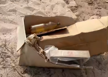 «Сен чочко сарай кылып кеткен жерге балаң келерин унутпа». Садыр Жапаров көлдүн жээги таштандыга толуп кеткенин айтты