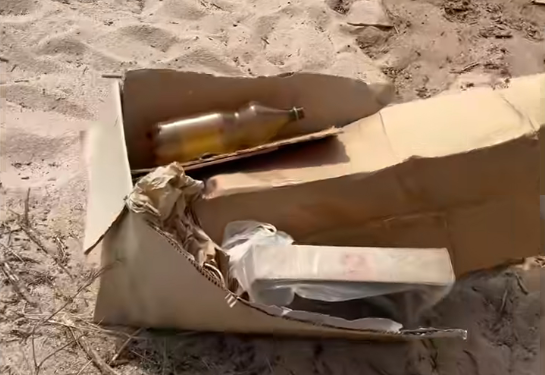 «Сен чочко сарай кылып кеткен жерге балаң келерин унутпа». Садыр Жапаров көлдүн жээги таштандыга толуп кеткенин айтты