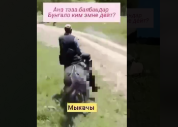 Интернетте итти атка сүйрөткөн жарандын видеосу тарап, талкуу жаратты