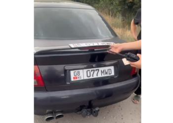 Жасалма номур менен жүргөн айдоочу аныкталды