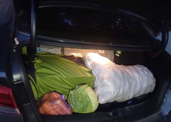 Абактан өсүмдүк майы менен 1 кап картошка уурдоого шектүү кызматкер кармалды