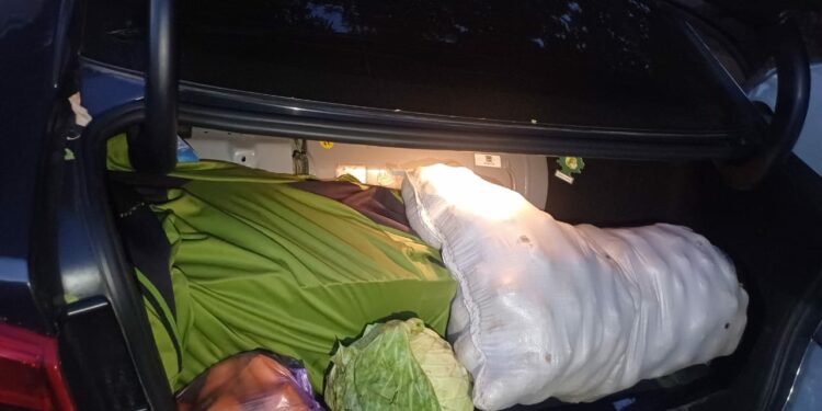 Абактан өсүмдүк майы менен 1 кап картошка уурдоого шектүү кызматкер кармалды