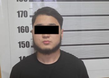 Түн ичинде сейил бакта мушташкандар кармалды (видео)